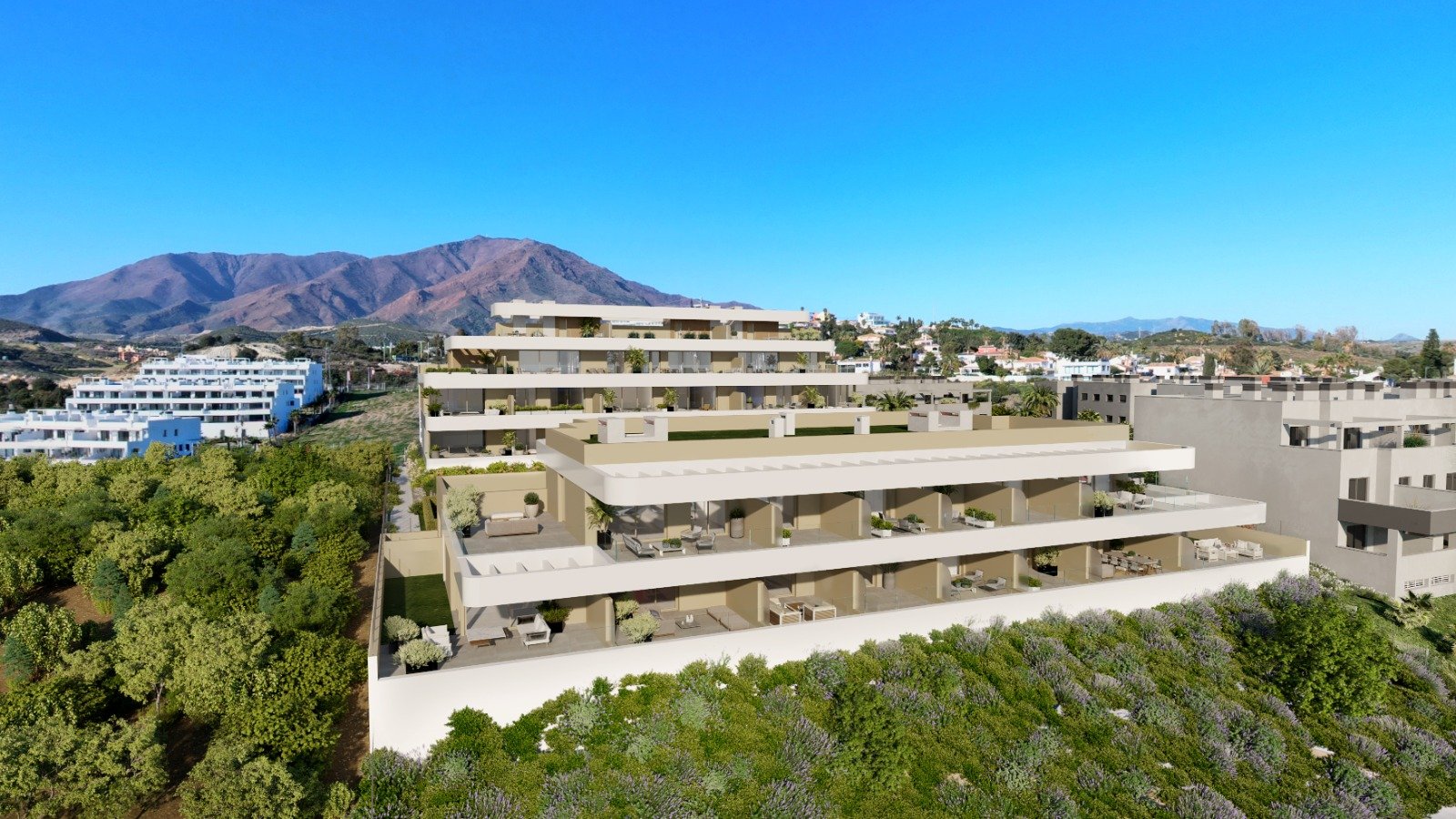 WhatsApp Image 2026-06-27 at 2.37.22 PM (2) Celestia Homes – Estepona | Presented by Global Estates®